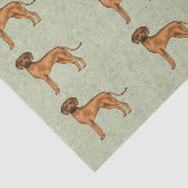 Rhodesian Ridgeback Afrikanischer Löwenhund Muster Seidenpapier (Ausschnitt)
