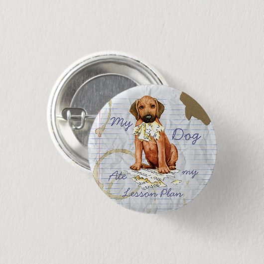 Rhodesian Ridgeback Ate Lesson Plan Pinback Schalt Button (Vorne & Hinten)