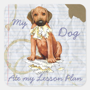 Rhodesian Ridgeback Ate Lesson Plan Square Sticker
