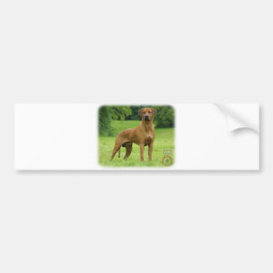 Rhodesian Ridgeback Autoaufkleber