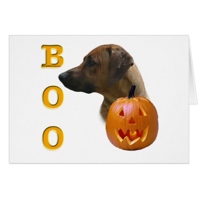 Rhodesian Ridgeback Boo (Vorderseite (Horizontal))