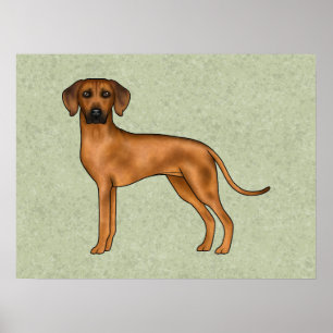 Rhodesian Ridgeback Brown Cartoon Lion Dog Green Poster