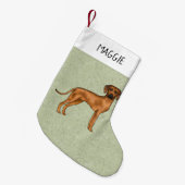 Rhodesian Ridgeback Brown Hund mit dem Namen Green Kleiner Weihnachtsstrumpf (Vorderansicht (hängend))