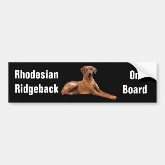 Rhodesian Ridgeback bumpersticker Autoaufkleber (Vorne)