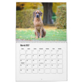 Rhodesian Ridgeback Calendar Kalender (Mär 2027)