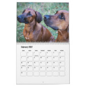 Rhodesian Ridgeback Calendar Kalender (Feb 2027)
