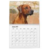 Rhodesian Ridgeback Calendar Kalender (Jan 2027)