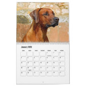 Rhodesian Ridgeback Calendar Kalender (Jan 2026)