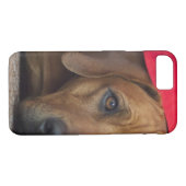 rhodesian-ridgeback Case-Mate iPhone hülle (Rückseite (Horizontal))