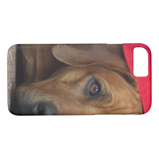rhodesian-ridgeback Case-Mate iPhone hülle (Rückseite (Horizontal))
