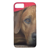 rhodesian-ridgeback Case-Mate iPhone hülle (Rückseite)