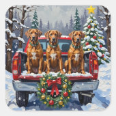 Rhodesian Ridgeback Christmas Red Truck Holiday Quadratischer Aufkleber (Vorderseite)