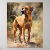 Rhodesian Ridgeback Dog Art Print Poster (Vorne)