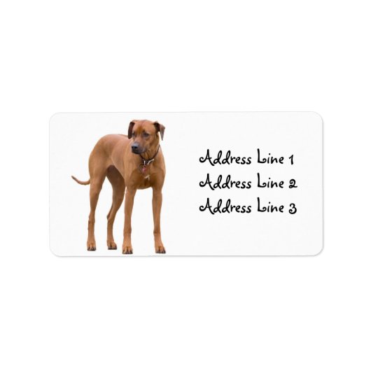 Rhodesian Ridgeback Dog Foto Address Label Adressaufkleber (Vorne)
