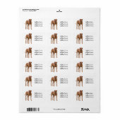 Rhodesian Ridgeback Dog Foto Address Label Adressaufkleber (Vorne)
