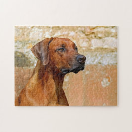 Rhodesian Ridgeback Dog Gazeyes Puzzle