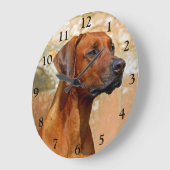 Rhodesian Ridgeback Dog Große Wanduhr (Winkel)