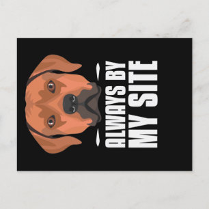 Rhodesian Ridgeback Dog Hair Glitzer Postkarte