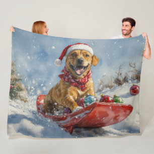 Rhodesian Ridgeback Dog in Sledge Weihnachten Fleecedecke