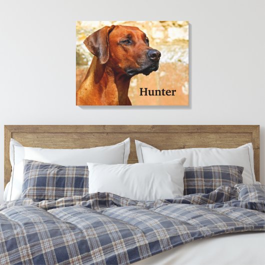 Rhodesian Ridgeback Dog Leinwanddruck (Insitu (Schlafzimmer))