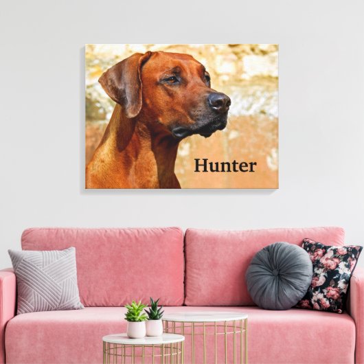 Rhodesian Ridgeback Dog Leinwanddruck (Insitu (Wohnzimmer))
