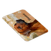 Rhodesian Ridgeback Dog Magnet (Rechte Seite)