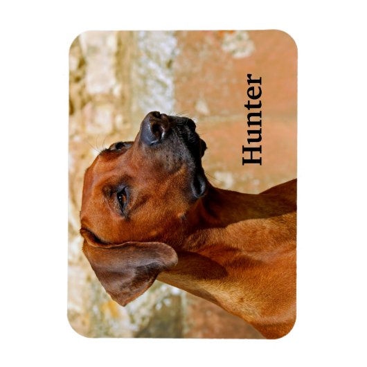 Rhodesian Ridgeback Dog Magnet (Vertikal)