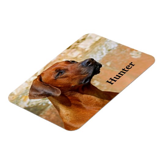 Rhodesian Ridgeback Dog Magnet (Linke Seite)