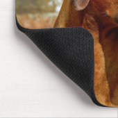 Rhodesian Ridgeback Dog Mousepad (Ecke)
