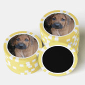 RHODESIAN RIDGEBACK Dog Pet Breppy Puppy POKER CHI Pokerchips (Stapel)
