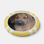RHODESIAN RIDGEBACK Dog Pet Breppy Puppy POKER CHI Pokerchips (Einzeln)