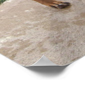 RHODESIAN RIDGEBACK Dog Pet Mischief Poster (Ecke)