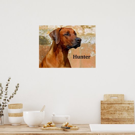 Rhodesian Ridgeback Dog Poster (Küche)