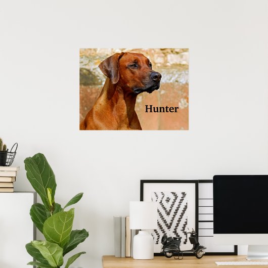 Rhodesian Ridgeback Dog Poster (Heimbüro)