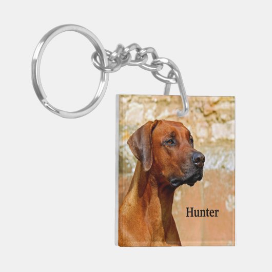 Rhodesian Ridgeback Dog Schlüsselanhänger (Vorderseite links)
