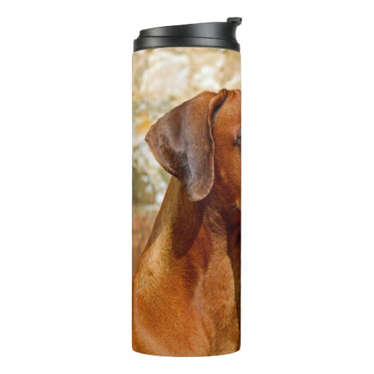 Rhodesian Ridgeback Dog Thermosbecher (Nach links gedreht)