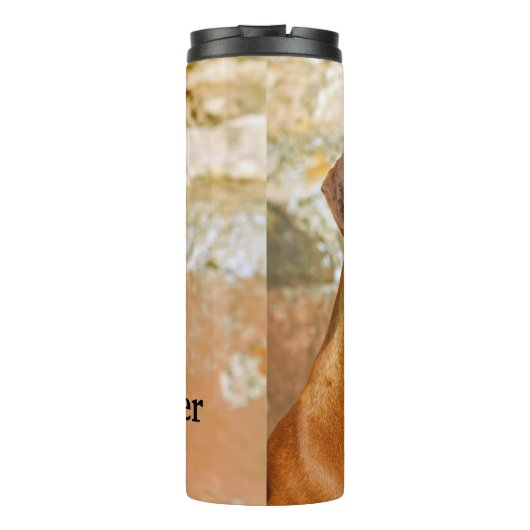 Rhodesian Ridgeback Dog Thermosbecher (Rückseite)