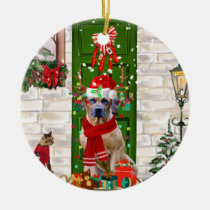Rhodesian Ridgeback Dog Weihnachten Keramik Ornament