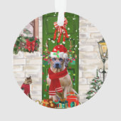 Rhodesian Ridgeback Dog Weihnachten Ornament (Rückseite)