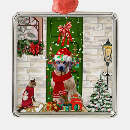 Rhodesian Ridgeback Dog Weihnachten Ornament Aus Metall (Vorne)