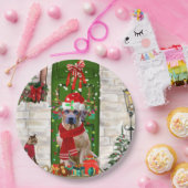 Rhodesian Ridgeback Dog Weihnachten Pappteller (Party)