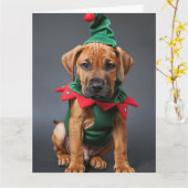 Rhodesian Ridgeback Elf Welpe Weihnachtskarte Karte (Gelbe Blume)