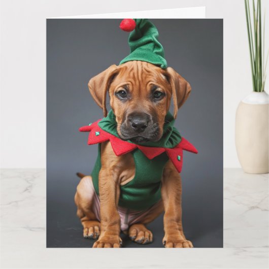 Rhodesian Ridgeback Elf Welpe Weihnachtskarte Karte (Vorderseite)