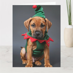 Rhodesian Ridgeback Elf Welpe Weihnachtskarte Karte