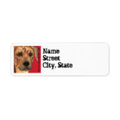 Rhodesian Ridgeback Farbblock (Vorne)