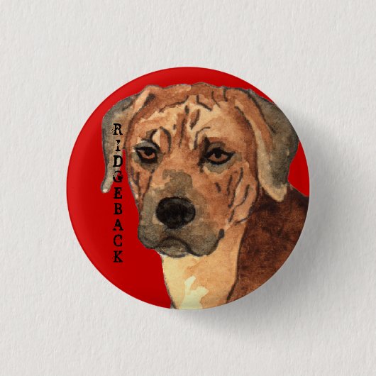 Rhodesian Ridgeback Farbblock Button (Vorderseite)