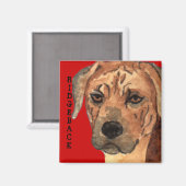Rhodesian Ridgeback Farbblock Magnet (Vorderseite/Rückseite)