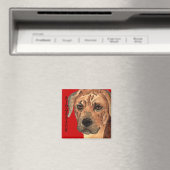 Rhodesian Ridgeback Farbblock Magnet (In Situ (Geschirrspüler))