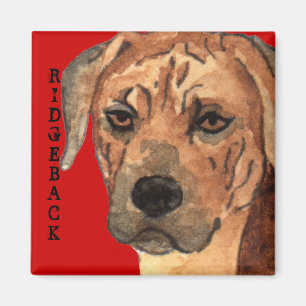 Rhodesian Ridgeback Farbblock Magnet