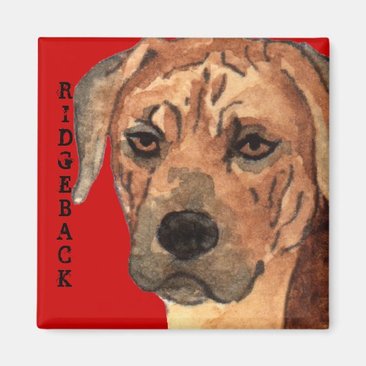 Rhodesian Ridgeback Farbblock Magnet (Vorne)